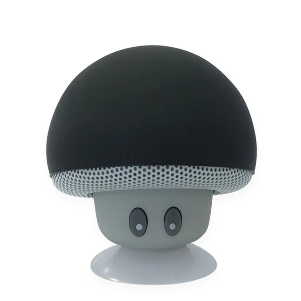 Wireless Bluetooth Speaker with Suction Cup